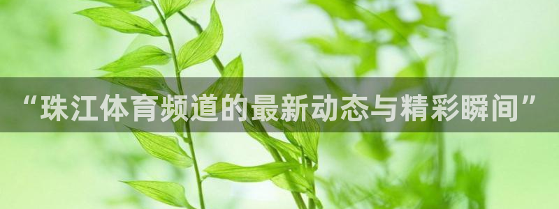说球帝最新版免费直播：“珠江体育频道的最新动态与精彩瞬间”