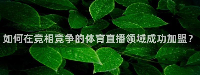 nba在线观看免费观看说球帝：如何在竞相竞争的体育直播领域成功加盟？