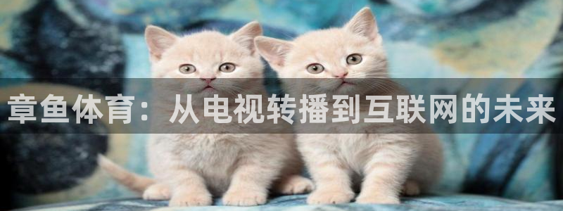 说球帝nba直播免费观看：章鱼体育：从电视转播到互联网的未来