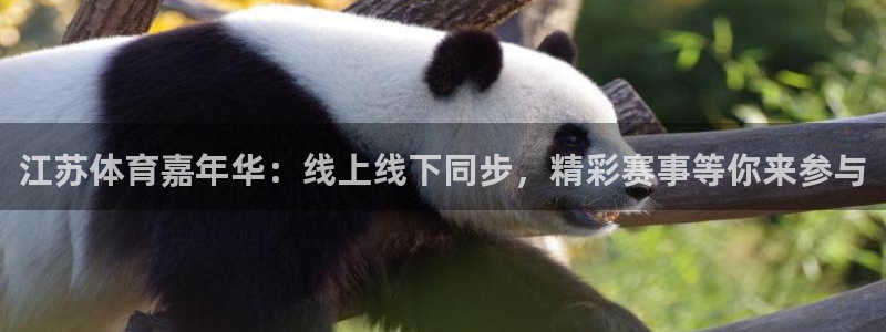 nba说球帝直播在线观看免费：江苏体育嘉年华：线上线下同步，精彩赛事等你来参与