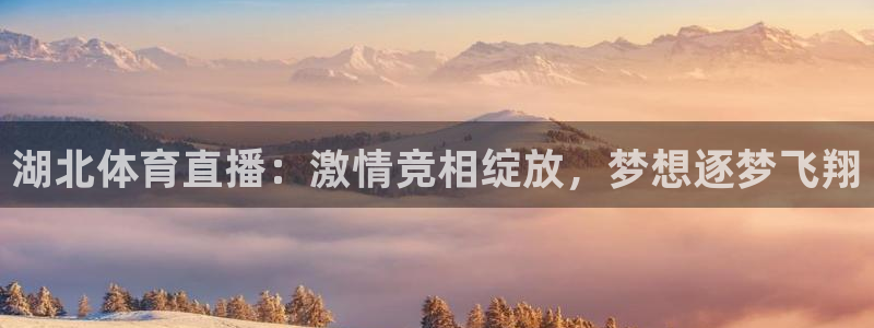 新闻图片