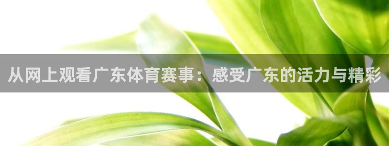 说球帝app直播在线观看高清免费：从网上观看广东体育赛事：感受广东的活力与精彩