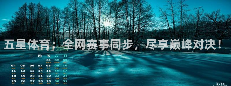 说球帝体育在线直播：五星体育：全网赛事同步，尽享巅峰对决！