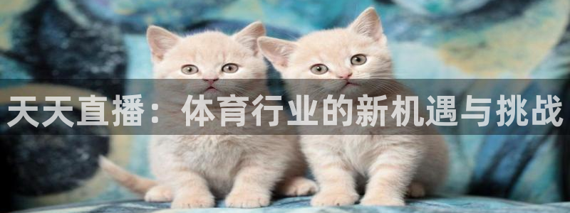 篮球直播说球帝：天天直播：体育行业的新机遇与挑战
