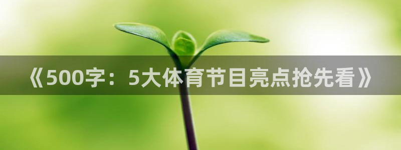 说球帝体育直播免费：《500字：5大体育节目亮点抢先看》