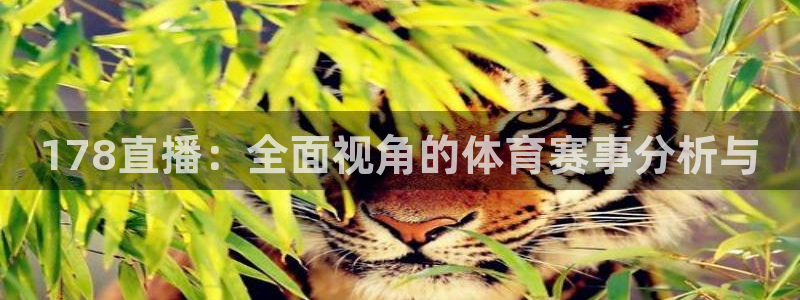 说球帝app官网：178直播：全面视角的体育赛事分析与